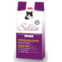 Picart Select Cat Adult