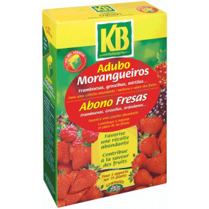 Abono Frutos Rojos 1 kg