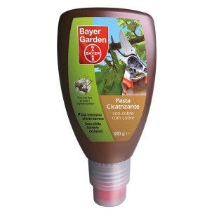 Pasta Cicatrizante Bayer 300 g