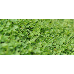 Trifolium Repens Microclover 1 kg