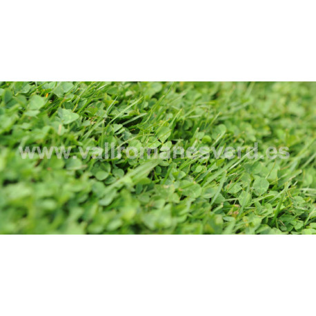 Trifolium Repens Microclover 1 kg