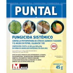 Fungicida Sistémico Puntal Massó