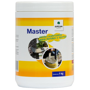 Pasta Cicatrizante Master 1 kg