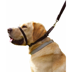 Collar Anti Tirones Canny Dog 