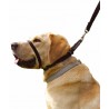 COLLAR ANTI TIRONES CANNY DOG