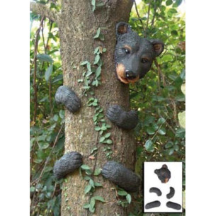 OSO DEL BOSQUE