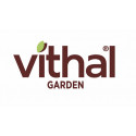 Vithal Garden