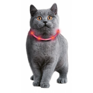 Collar LED 2
