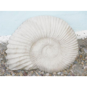 FOSIL AMONITES BRADSTONE 2