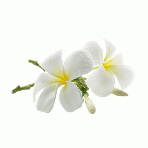 AMBIENTADOR MIKADO FLOR-FRUTA 125 ml 2