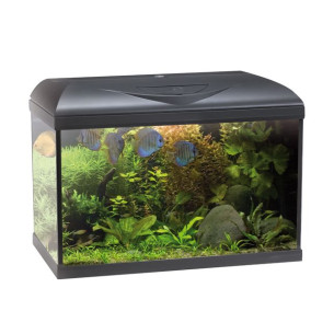 ACUARIO POSEIDON RIVIERA 60