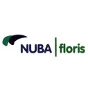 NUBA floris